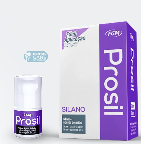 Agente de unión química Silano PROSIL  FGM